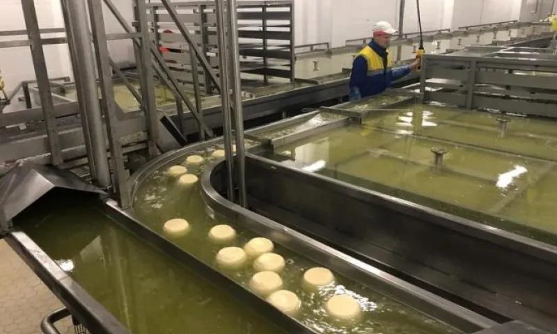 Объем инвестиций в пищевую и перерабатывающую промышленность Алтайского края вырос на 23%