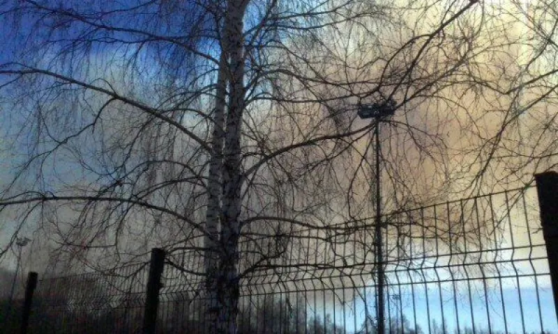Поля с сухой травой горят около Новоалтайска