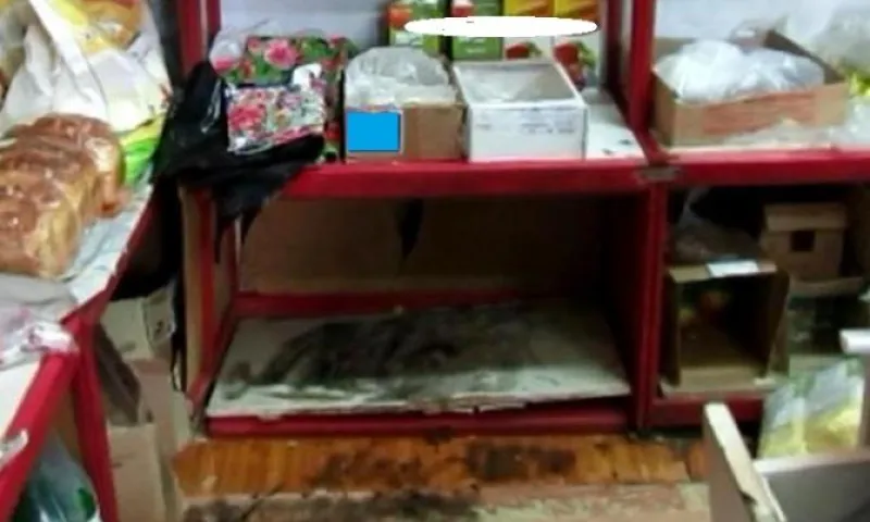 Неизвестные обокрали магазин в Алтайском крае