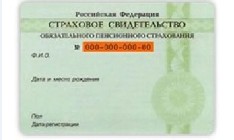 СНИЛС планируют заменить новым документом в России