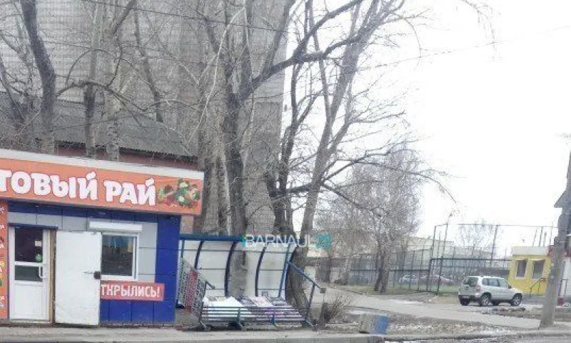 Ураганный ветер снес светофор в Барнауле