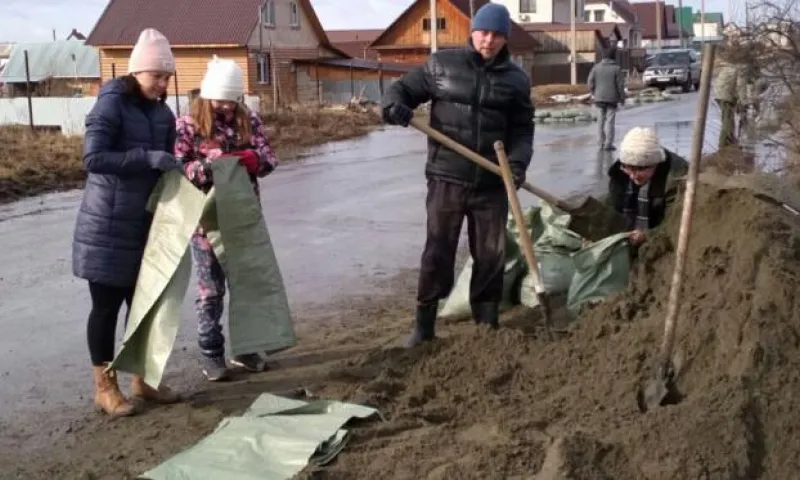 Искусственную дамбу построили в барнаульском поселке