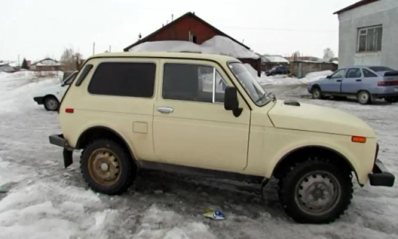 Полицейские задержали автоугонщика в Алтайском крае