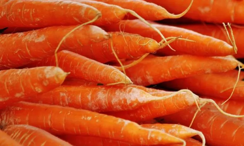 Более 80 тонн опасных продуктов пытались провезти в Алтайский край