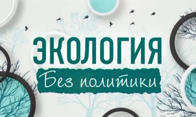 «Экология без политики»: как работает «мусорная реформа» в Алтайском крае