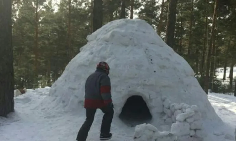 Жители Барнаула рассказали об огромном иглу в лесу 