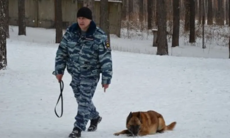 Полицейская собака помогла задержать вора, укравшего аудиотехнику из Дома культуры в Алтайском крае