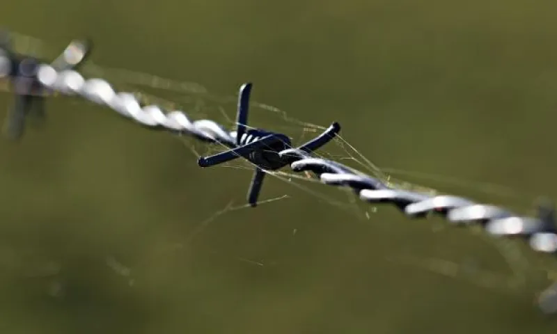 Убивший сожителя своей матери житель Алтайского края несколько лет скрывался от правосудия