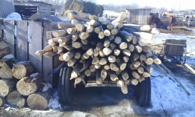 Штраф 800 тысяч рублей получила организация за заброшенный земельный участок в Алтайском крае