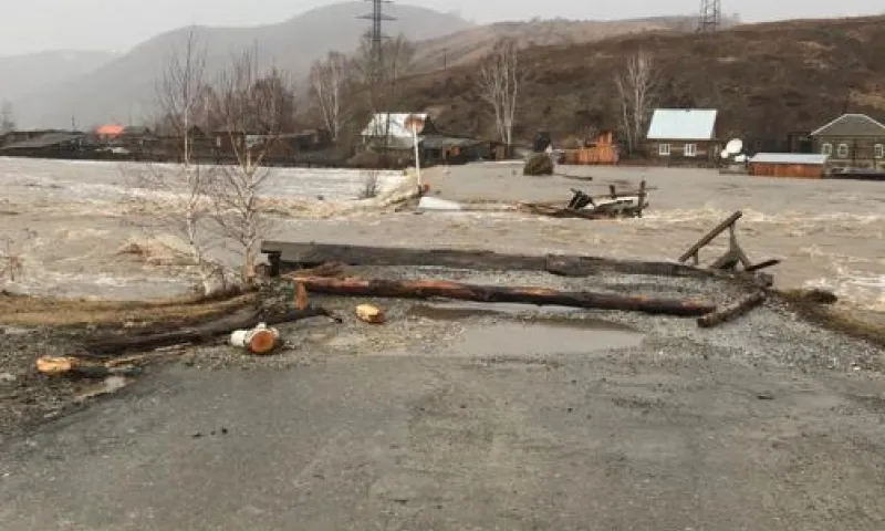 Село Солонешное оказалось затоплено за два часа