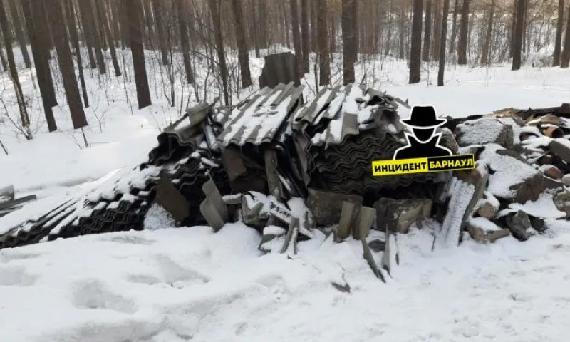 Свалка строительного мусора появилась в Ленточном бору в Барнауле