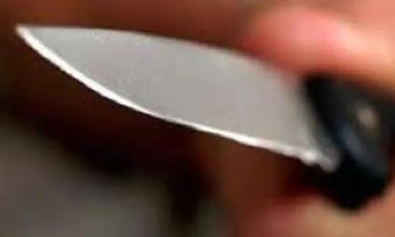 Жительницу Барнаула осудят за убийство сожителя  