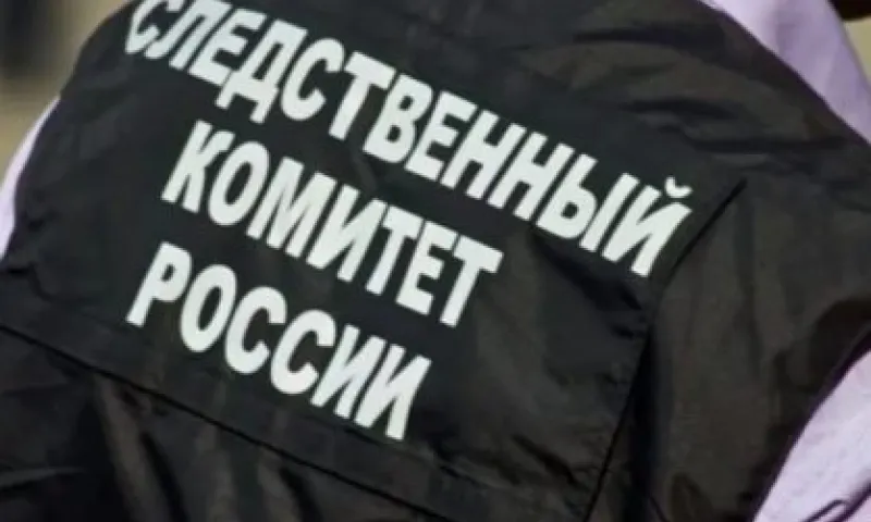 Следственный комитет проверит сообщения об избиении охранниками жителей Барнаула