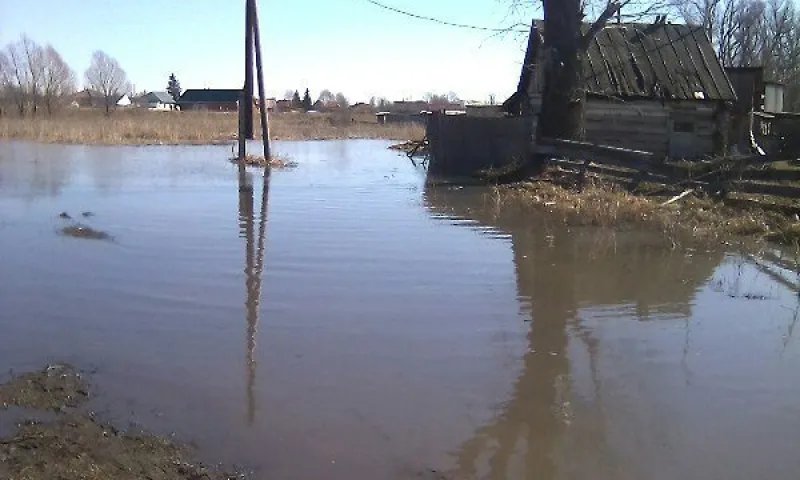 Уровень воды в реке Чарыш Алтайского края может достичь критической отметки в ближайшие сутки