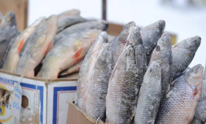 Роспотребнадзор предупреждает об опасных продуктах в местах несанкционированной торговли в Алтайском крае