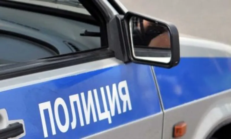 Житель Алтайского края сломал нос полицейскому
