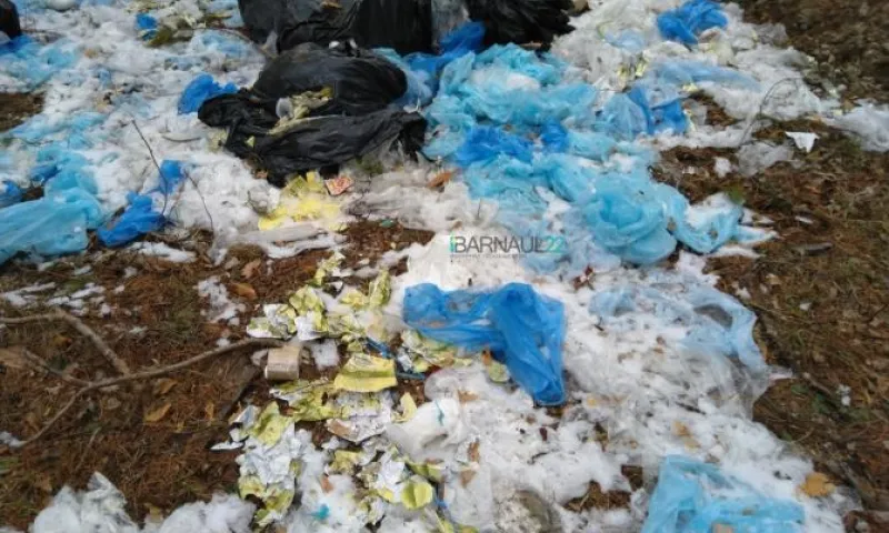 Новую свалку обнаружили в лесу в Алтайском крае