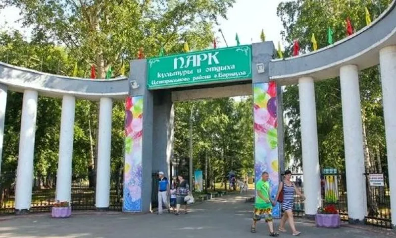 Именное дерево могут посадить жители Алтайского края