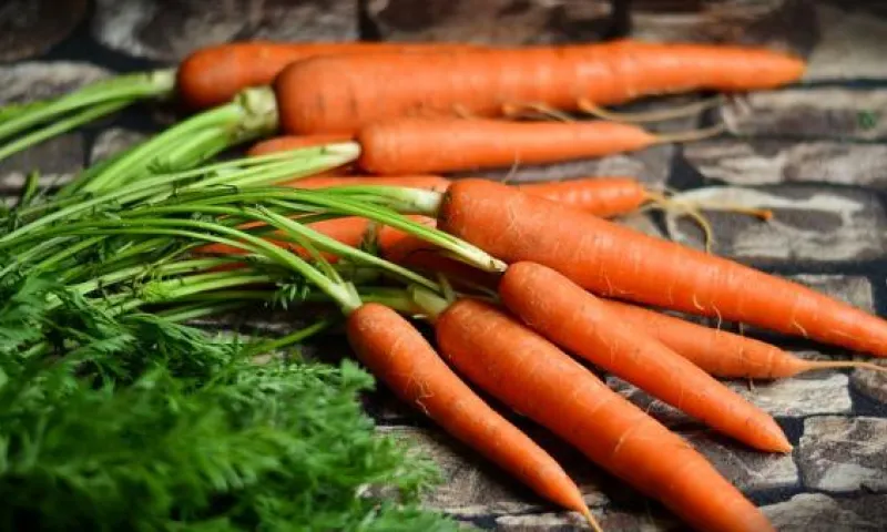 Социальные продуктовые ярмарки пройдут в Барнауле