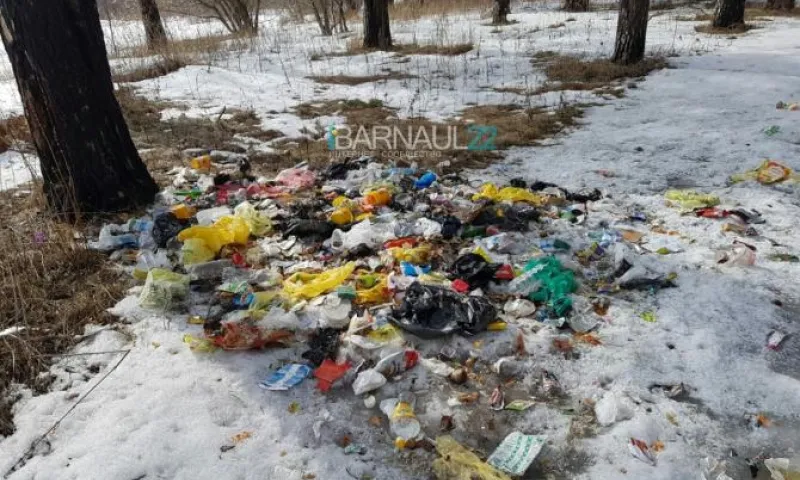 Соцсети: свалку мусора обнаружили в лесу в Алтайском крае