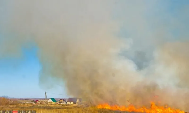 Пожарные спасли от огня село в Алтайском крае