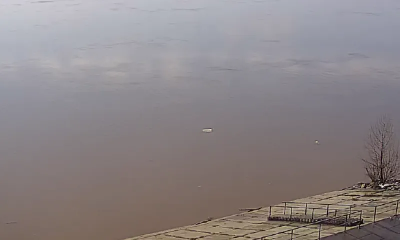 Талые воды подтопили автодорогу в Алтайском крае 