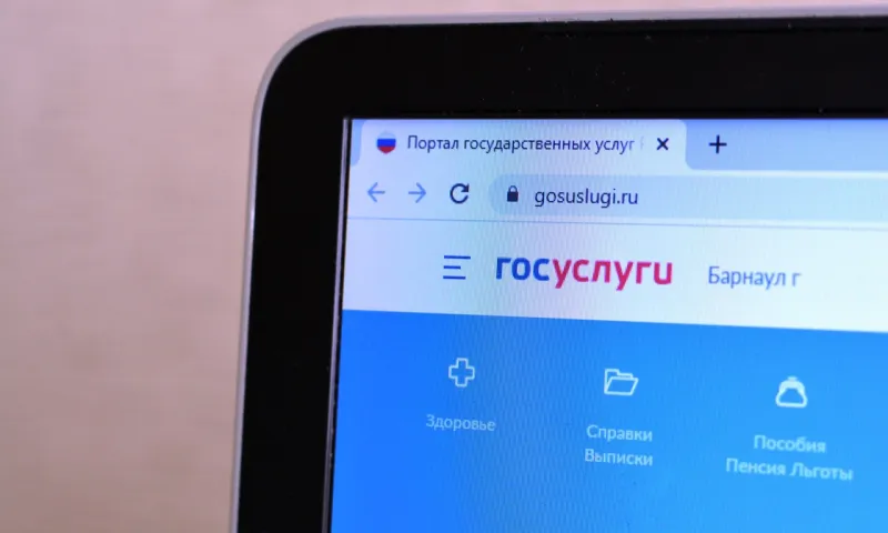 Барнаулец взламывал аккаунты на «Госуслугах» и оформлял кредиты