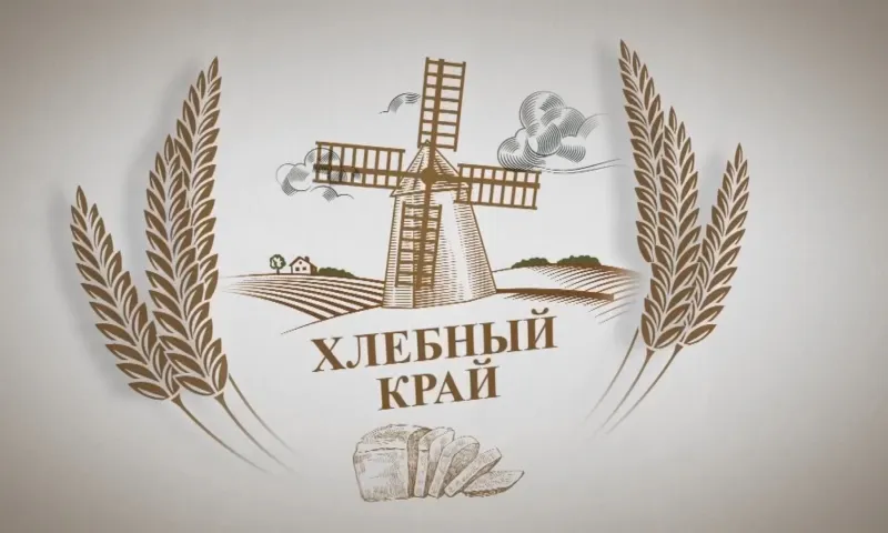 «Хлебный край»: пересчитают ли пчёл чипами в ходе цифровизации сельского хозяйства