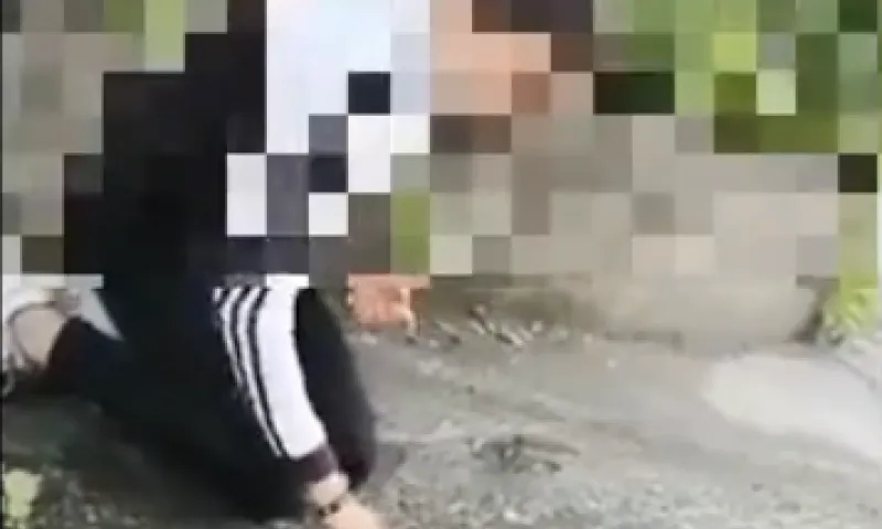 Уполномоченный по правам ребёнка в Алтайском крае прокомментировал инцидент в Бийске
