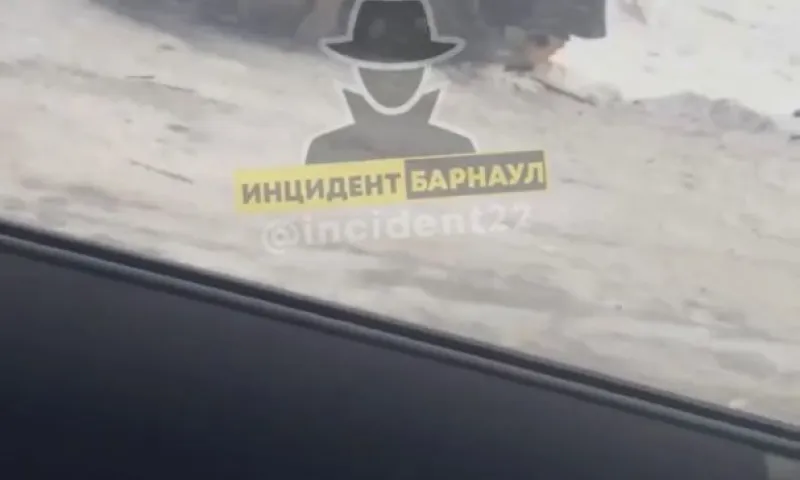 Смертельное ДТП произошло на трассе в Павловском районе