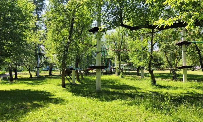 Владельцу веревочного парка в Новоалтайске, где травмировалась девочка, назначили наказание